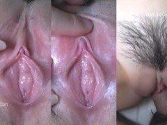 Cận Cảnh Bướm Hồng Tràn Đầy Tinh Trắng Nõn Nà
